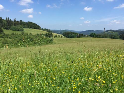 Ferienhaus Seespatz