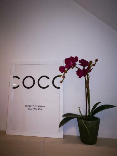 Apartamento Bologna Boutique Home