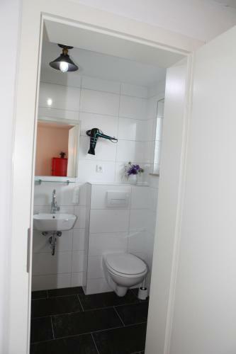 Apartamento G�stehaus Zum Rhein