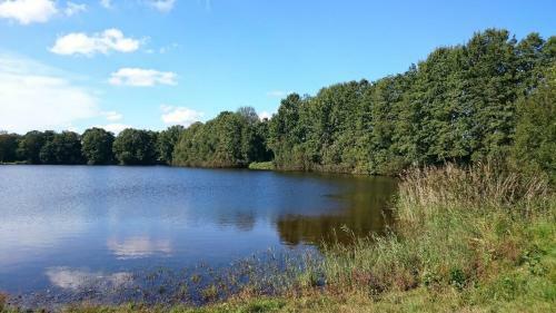 Apartamento Ferienwohnung Am See 2