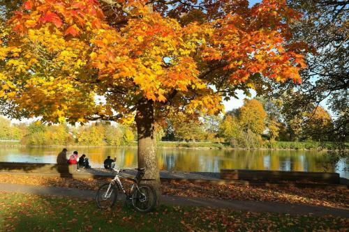 Apartamento Ferienwohnung Am See 1