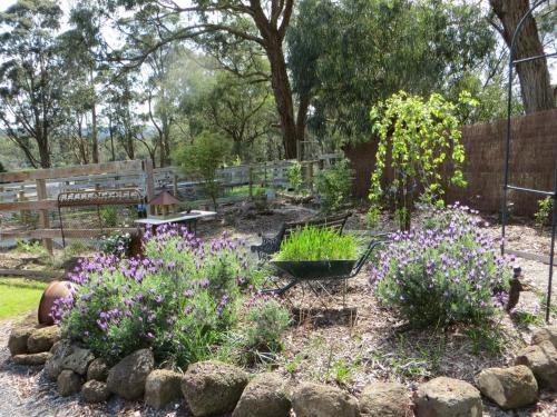Bed & Breakfast Honeyeater Cottage