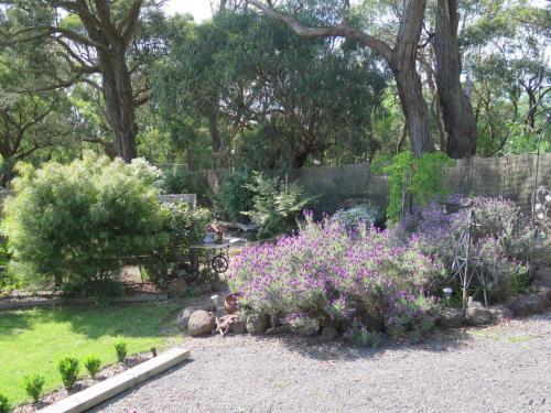 Bed & Breakfast Honeyeater Cottage