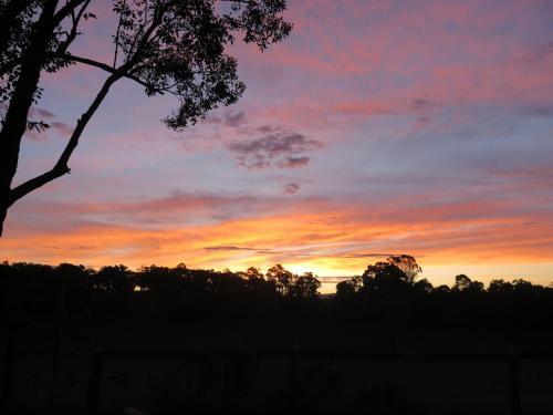 Bed & Breakfast Honeyeater Cottage