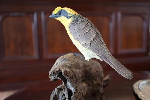 Bed & Breakfast Honeyeater Cottage