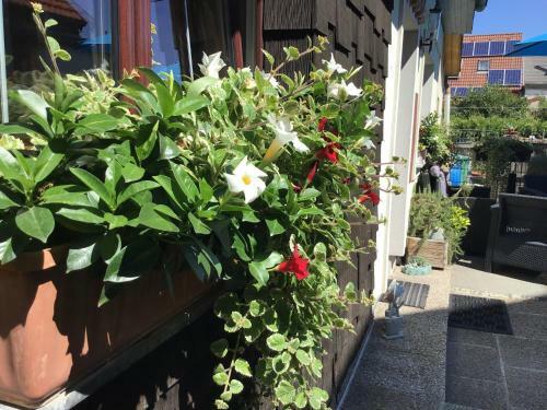 Hostal Themenpension Haus Sanz