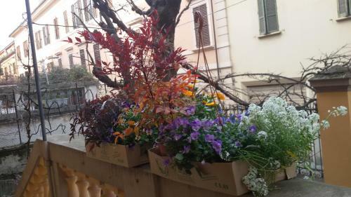 Apartamento Tilia