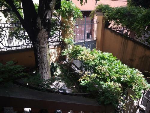 Apartamento Tilia