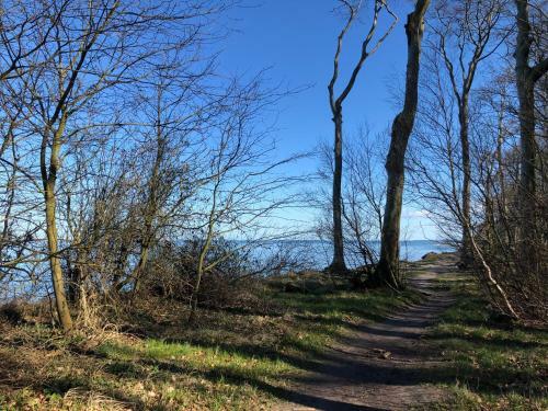 Apartamento Ferienwohnungostseeblick