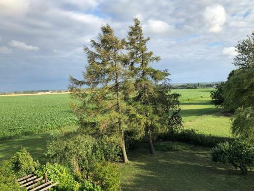 Apartamento Ferienwohnungostseeblick