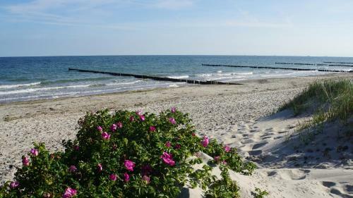 Apartamento Ferienwohnung Baltic Sea