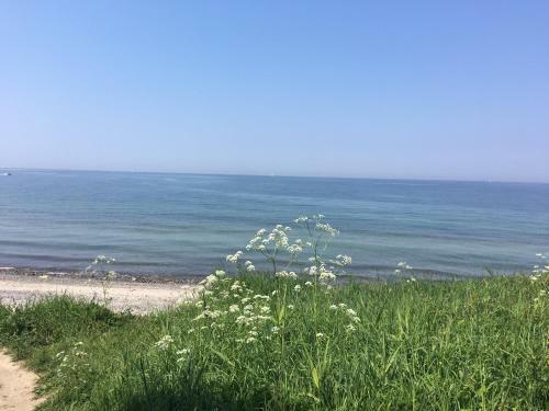 D�nenrose Apartment 7