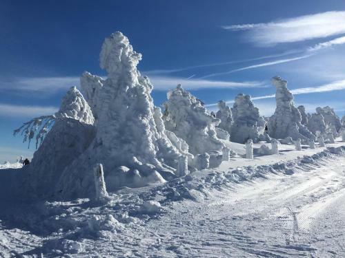 Apartamento Direkt Am Skihang! M�ller Ferienwohnungen