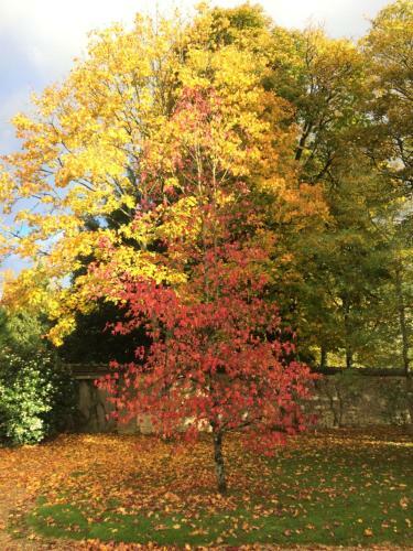 Hostal Les Couleurs Du Verger