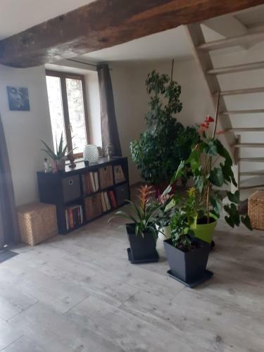 Hostal L'eden Cach�