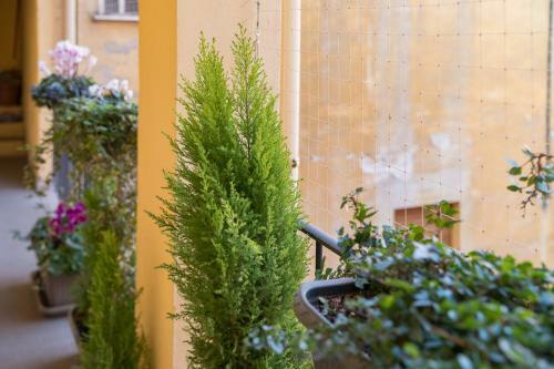 Hostal La Colombina