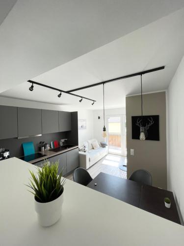 Apartamento G�stehaus Hirsch 93