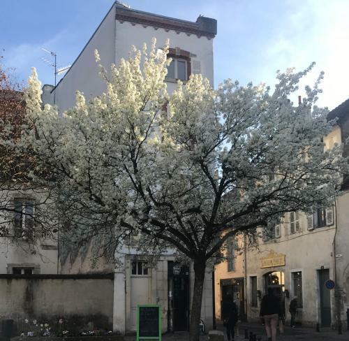 Bed & Breakfast La Dormance