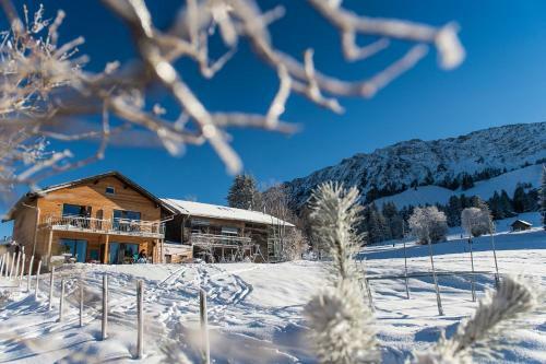 Apartamento Fewo Nachbaur Typ A 2