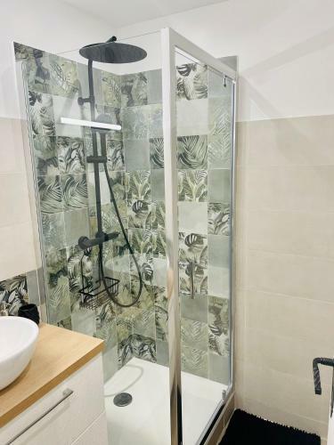 Apartamento La Saveur Tropicale-proche Centre Ville-a�roport
