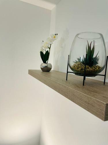 Apartamento La Saveur Tropicale-proche Centre Ville-a�roport