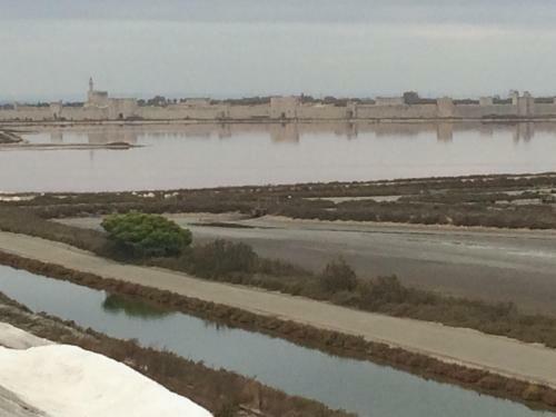 Maison Au Calme Avec Parking En Petite Camargue