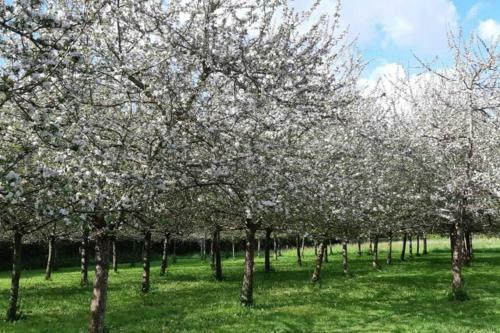 Ti Dour - G�te De Charme � La Campagne - C�te De Granit Rose