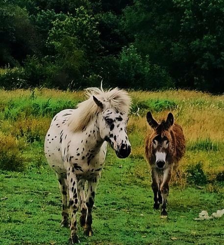 G�tes By Medoc