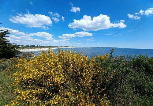 Apartamento Kerwood Sud Morbihan