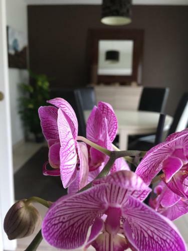 Apartamento Nano House