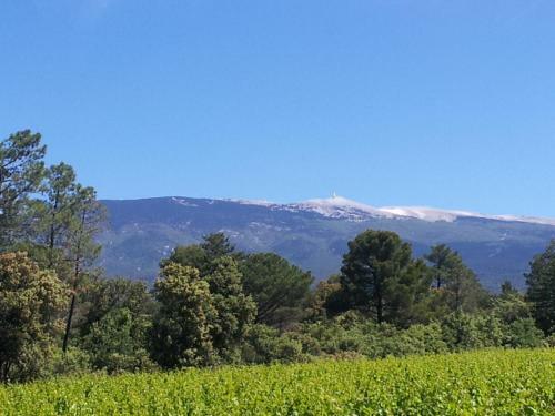 Villa 349 Les Maridats