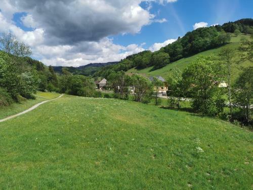 Apartamento Ferienwohnungen Vogelsang