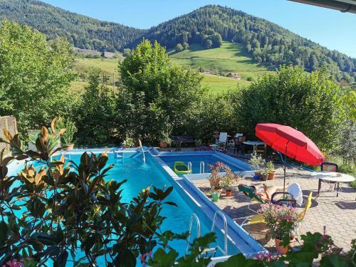 Apartamento Ferienwohnungen Vogelsang