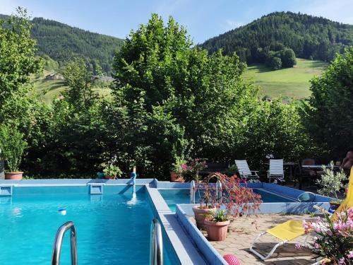 Apartamento Ferienwohnungen Vogelsang