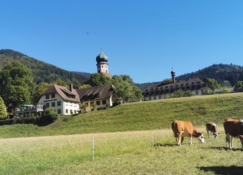 Apartamento Ferienwohnungen Vogelsang