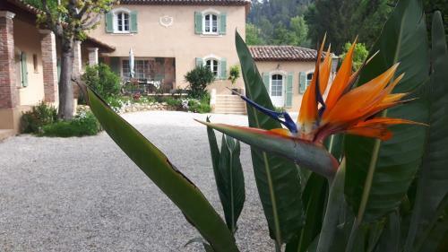 Bastide Du Maoupas G�tes