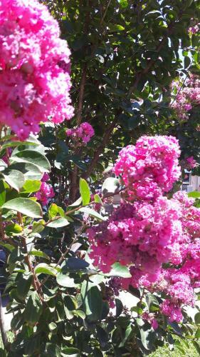 Bastide Du Maoupas G�tes