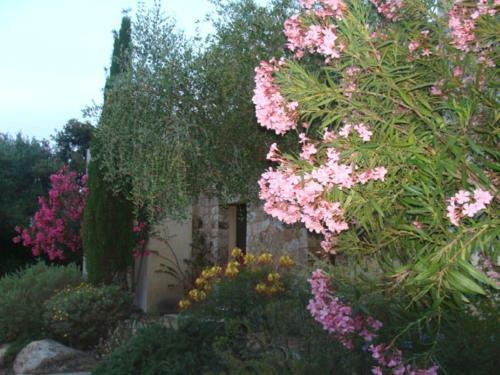 Villa Le Bois De Capra Scorsa