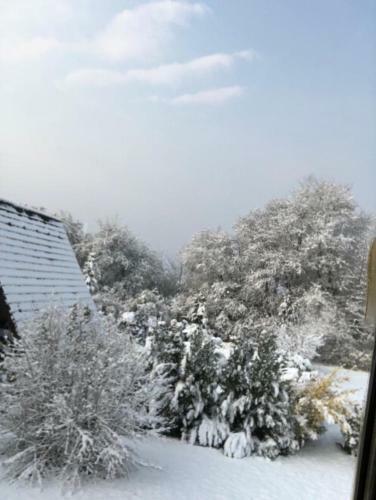 Ferienhaus Am Katzenbuckel