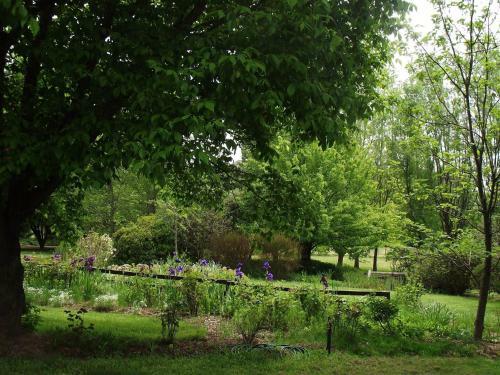 Ophir Gold Bed & Breakfast