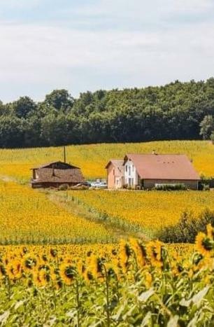 Bed & Breakfast Maison Maupas Chambre Bleue