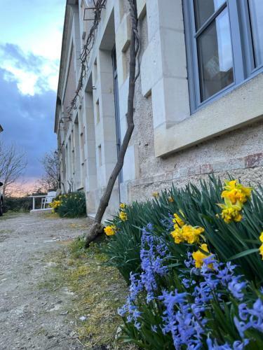Apartamento G�te Du Cep