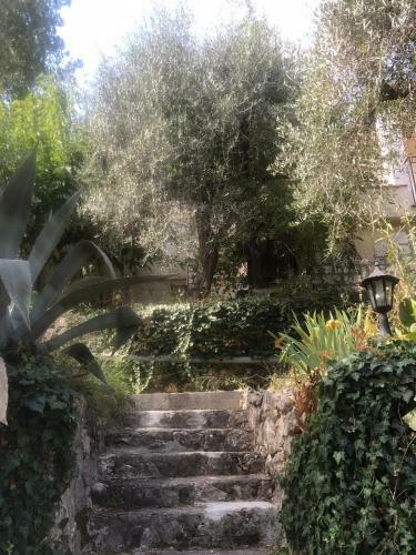 Bed & Breakfast Les Oliviers De Bastet