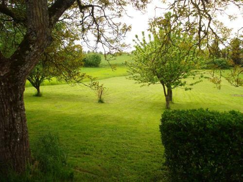 Bed & Breakfast Mam'zelle La Poule
