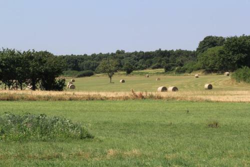 Bed & Breakfast Mam'zelle La Poule