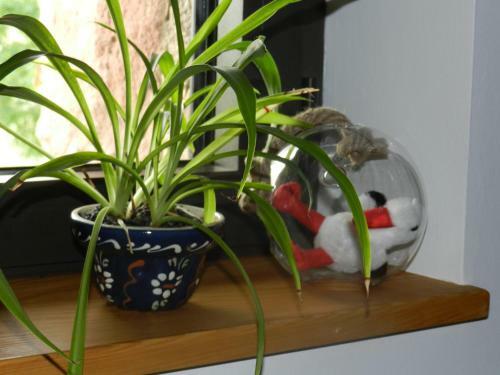 Apartamentos G�te Autonome, La Grange A Foin, Piscine !