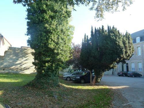 Apartamento Cot� Cour