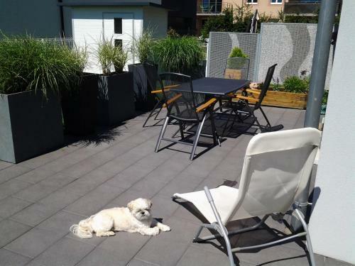 Bed & Breakfast La Maison De Rom�o