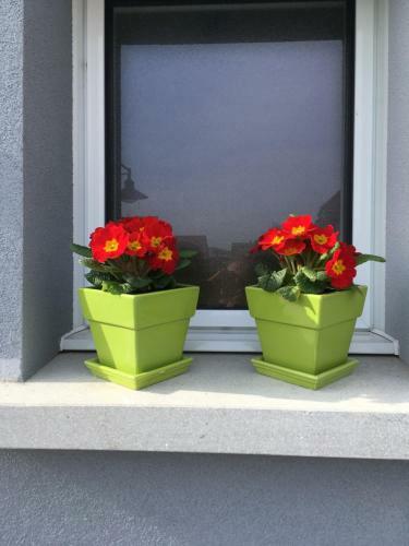 Bed & Breakfast La Maison De Rom�o