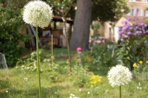 Bed & Breakfast Madeleine Bergerac